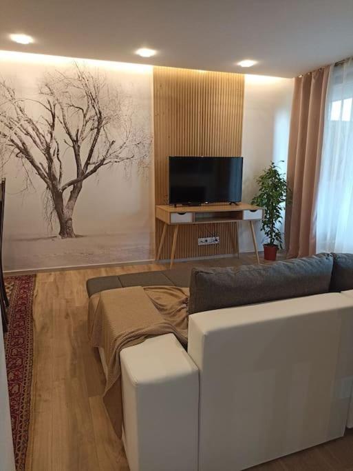 Tres Bel Appartement Rez De Jardin Appart De 53M2. Pfastatt Zewnętrze zdjęcie