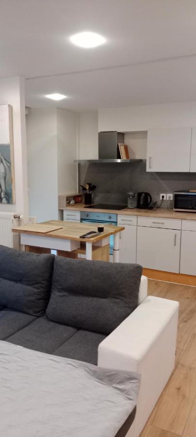 Tres Bel Appartement Rez De Jardin Appart De 53M2. Pfastatt Zewnętrze zdjęcie