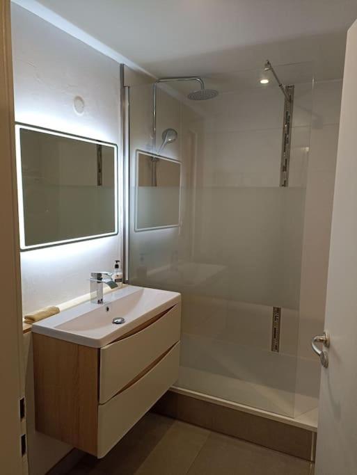 Tres Bel Appartement Rez De Jardin Appart De 53M2. Pfastatt Zewnętrze zdjęcie