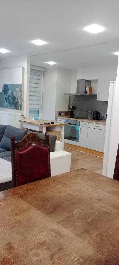 Tres Bel Appartement Rez De Jardin Appart De 53M2. Pfastatt Zewnętrze zdjęcie